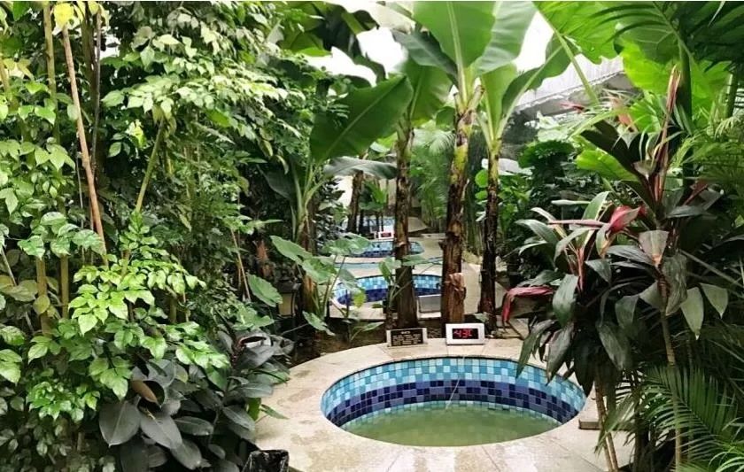 沈阳温泉攻略,沈阳市周边温泉一日游