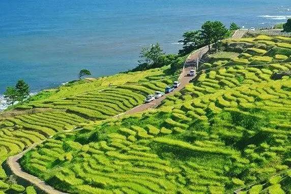 长沙身份证430102,长沙42开头的身份证