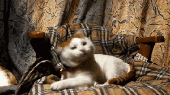 英国首相深陷丑闻风波,英国首相丑闻