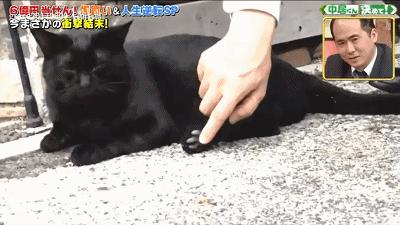 日本中彩票后又中了3个亿,日本阿叔全部视频