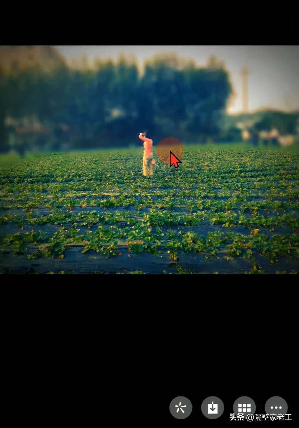 微信小窍门100个,微信小技巧100例