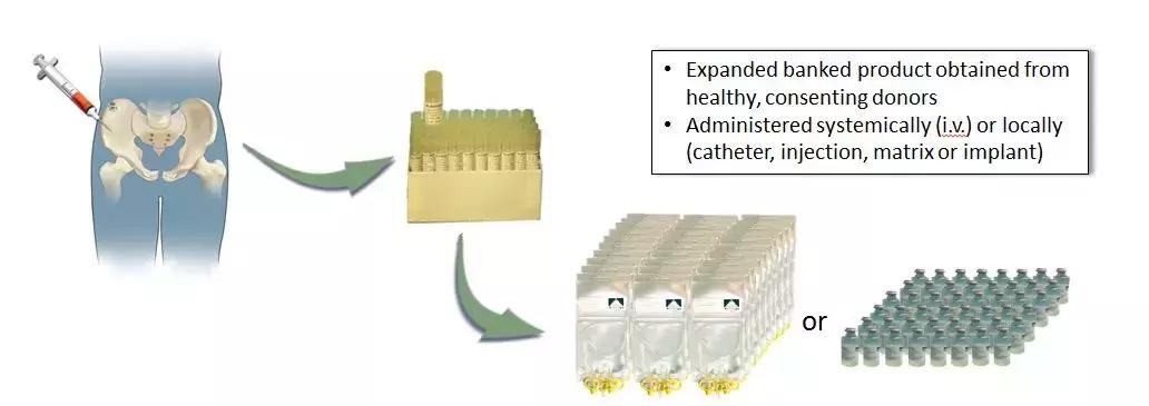 干细胞新药前景,干细胞治疗多久上市