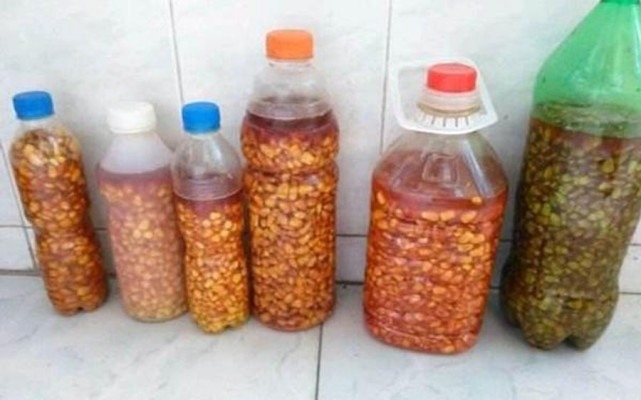 用玉米粒钓鱼,用玉米粒钓鱼需要打窝吗