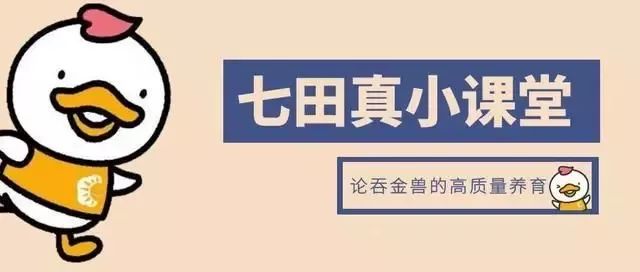 宝宝抗炎等于消炎吗,抗生素是消炎药吗能消灭所有炎症