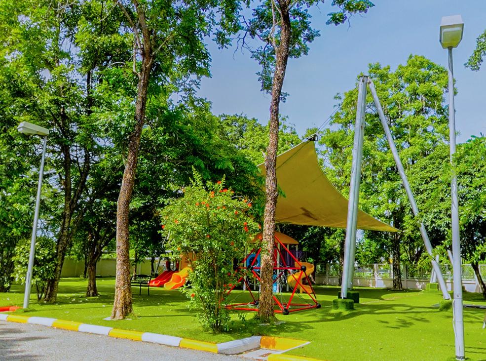 泰国留学热门专业是工商管理吗,泰国大学留学专业