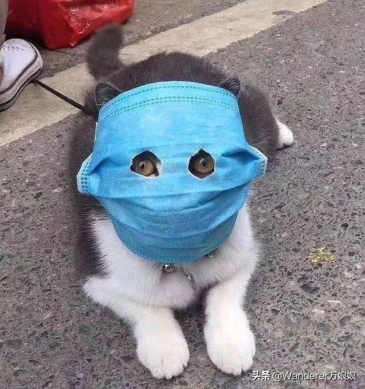 多亏这些宝藏网友,让我笑到免疫力增强