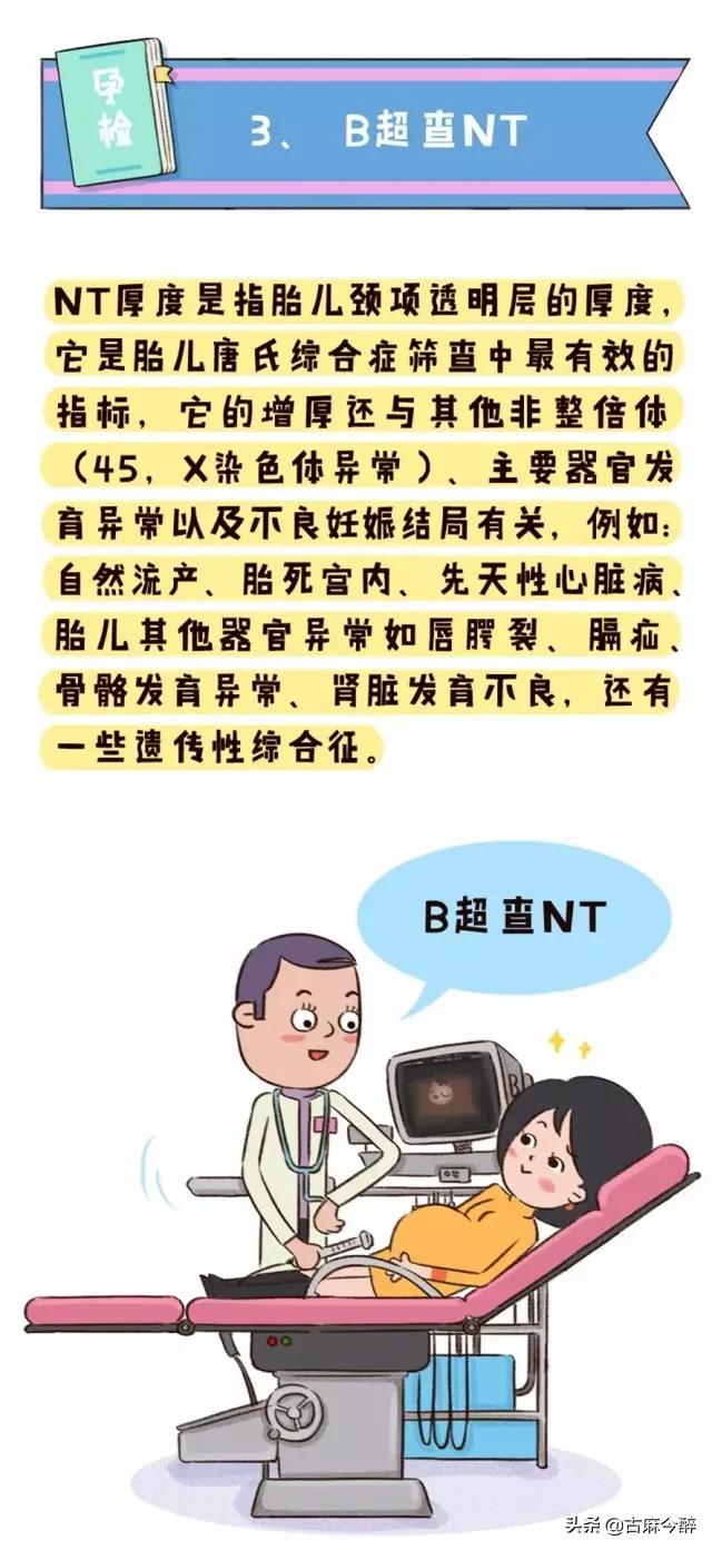 一分钟看懂孕检b超图,一秒教你看懂孕检化验单