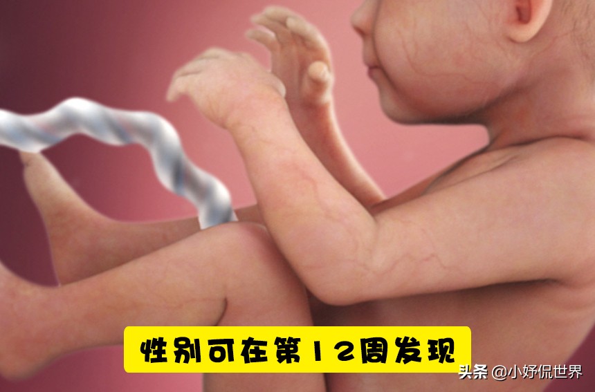 分娩知识,孕妇分娩宫缩知识