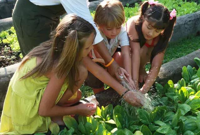泰国苏梅岛酒店出售,苏梅岛悦榕庄酒店