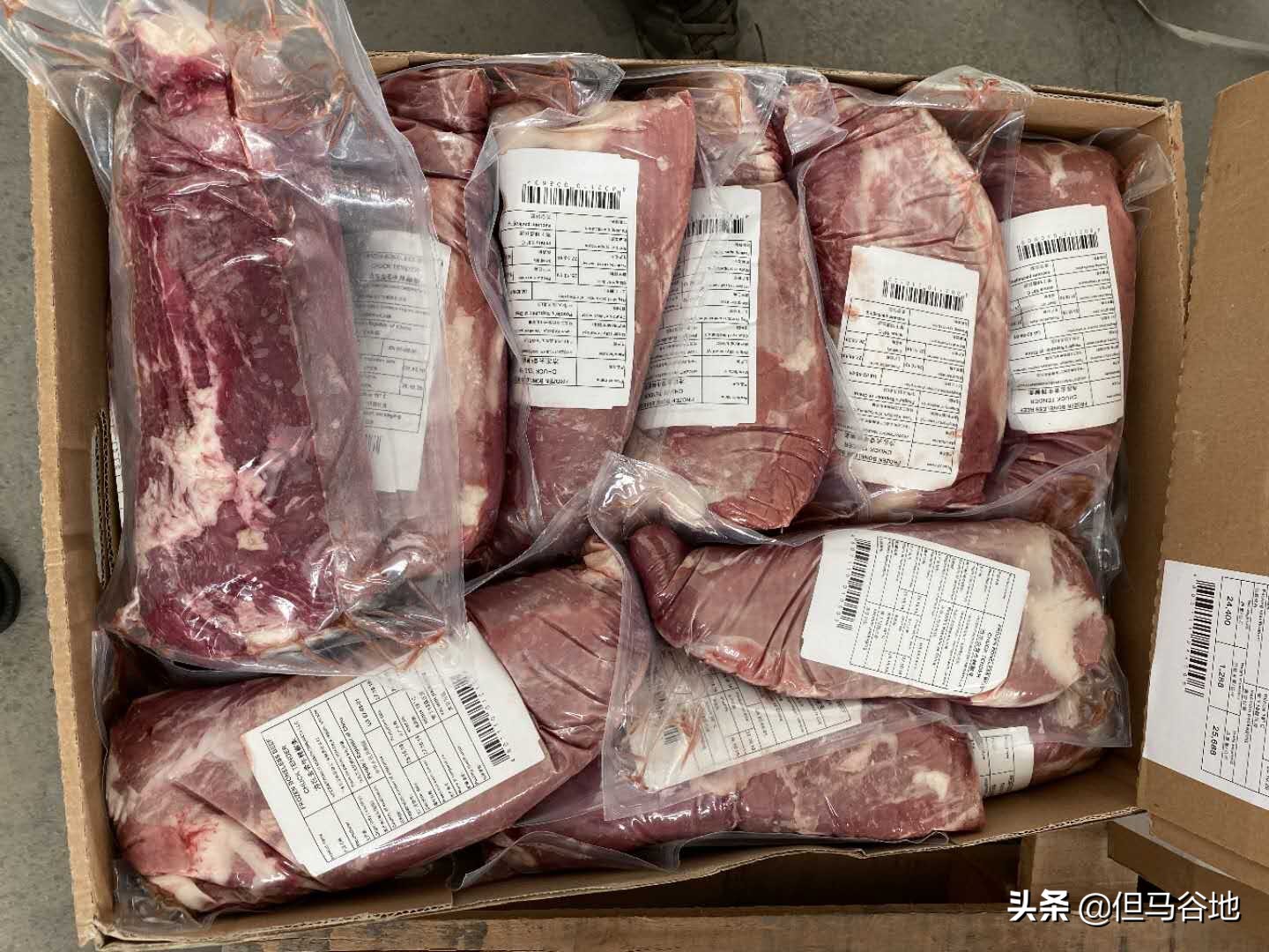 鏂扮枂鐜涙媺璐濇媺,鍗椾含鐜涙媺璐濇媺