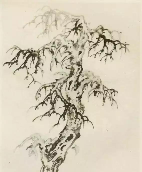 缠枝、挺杆、屈节、钮裂、一棵树如何画？看了这篇你绝对能学会