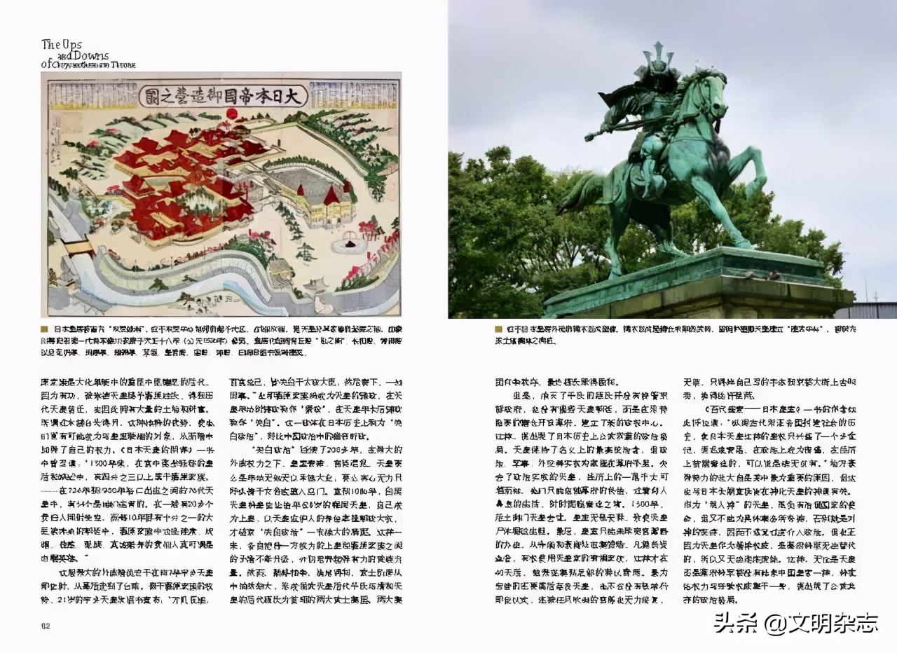 菊花王朝盛衰记,菊花王朝故事