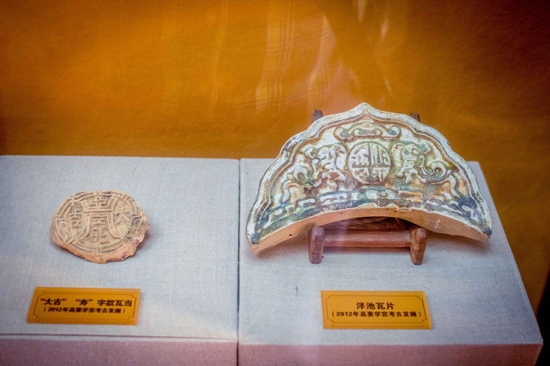 星湖冬日燃情，比落羽杉还要红的是什么？#我和湿地有个约会#