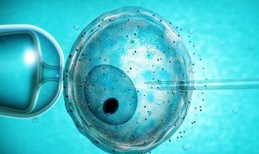 43岁母亲失独，忍受多次取卵之痛，成功体外受精却不幸胎停