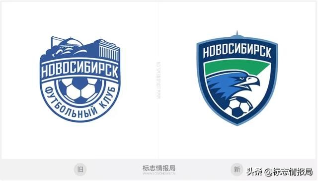 老鹰飞回鸟巢,老鹰又回来了吗