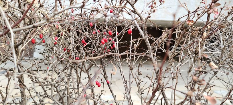 三星galaxynote20ultra5g测评,三星galaxys20+5g参数