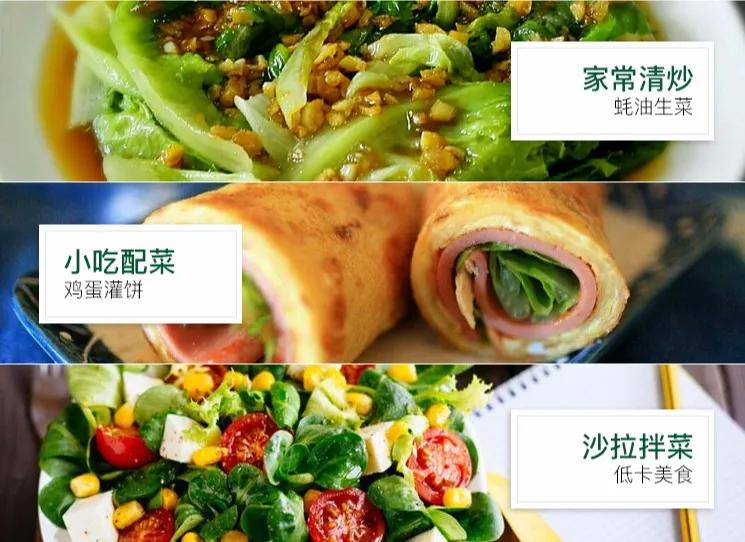 夏季适合做沙拉的蔬菜有哪些,种蔬菜教程阳台