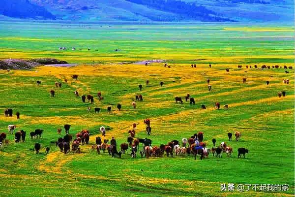 洛阳特产必买清单一览表,中国各地特产一览表