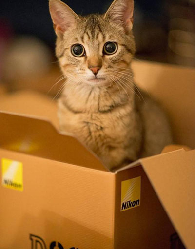 手机拍得很清楚上传抖音好模糊,抖音拍摄模糊怎么办