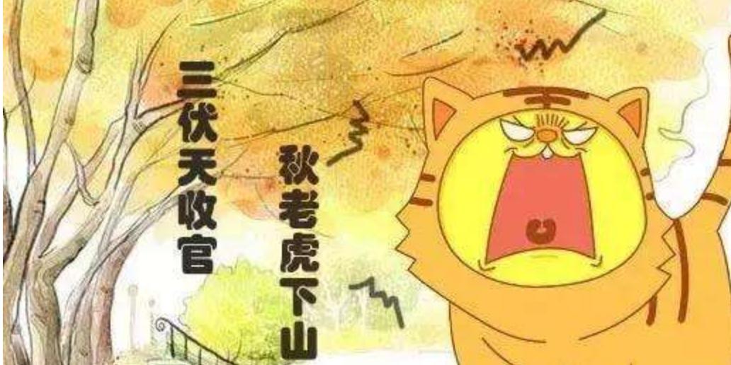 二十四节气处暑书签,处暑二十四节气诗歌