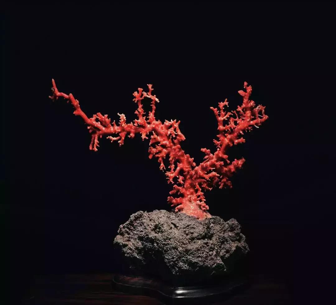 去香港必须知道的100件事,去香港的最新入境规定