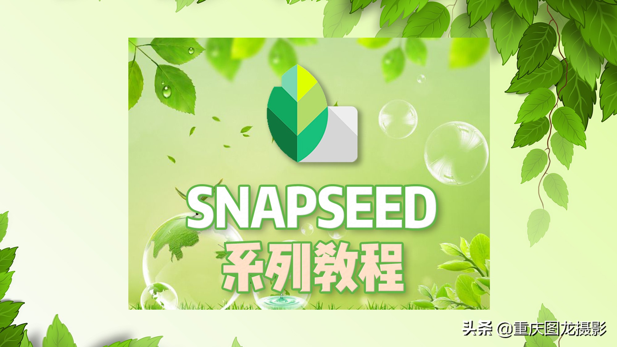 snapseed手机app修图,snapseed怎样进行人物美颜