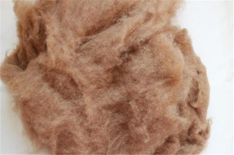 驼毛和驼绒价格差,驼毛和驼绒被有区别吗
