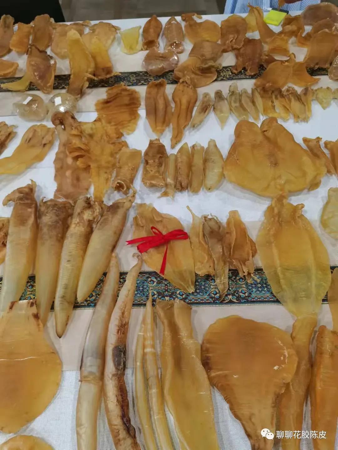 花胶鱼胶做法教程窍门视频下载,花胶鱼胶是怎么制作出来的