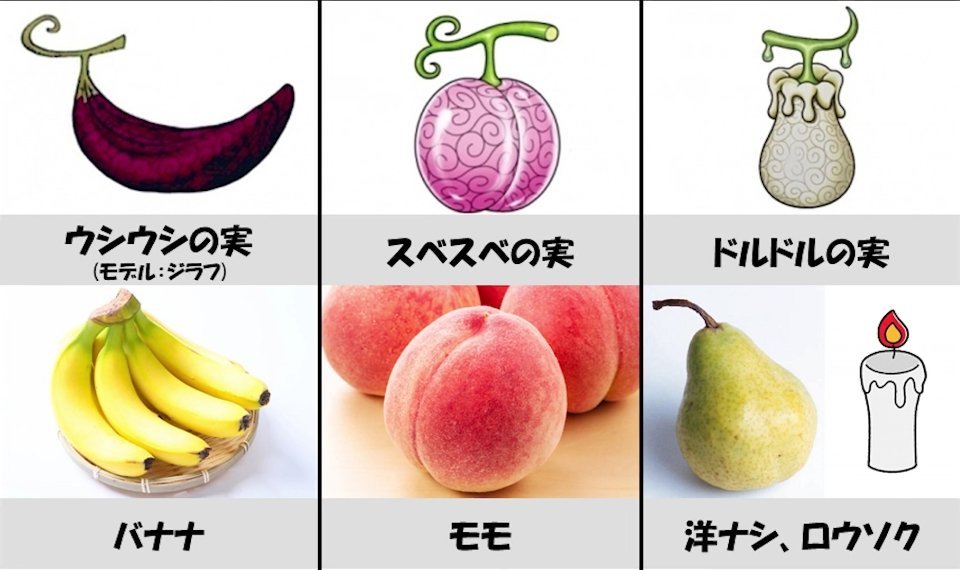 海贼王里恶魔果实怎么来的,海贼王里的恶魔果实真实存在