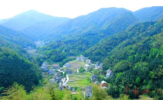 我的家乡被遗忘,我的家乡曾经也很美丽