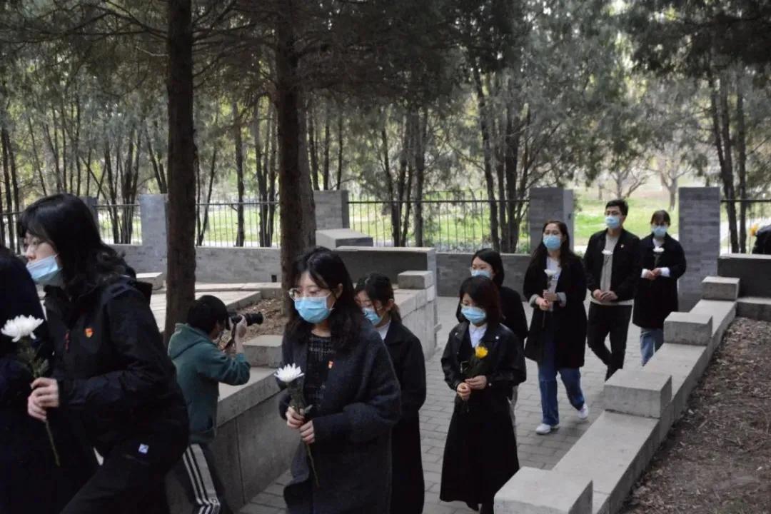 38，27，37，30，29，26，28，26，33，36......