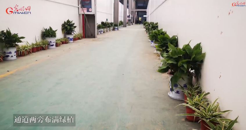 新冠治疗费现在是医保全额报销吗,新冠治疗费一览表