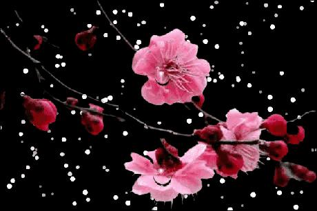 鼠年最佳20副春联,鼠年最佳10副春联