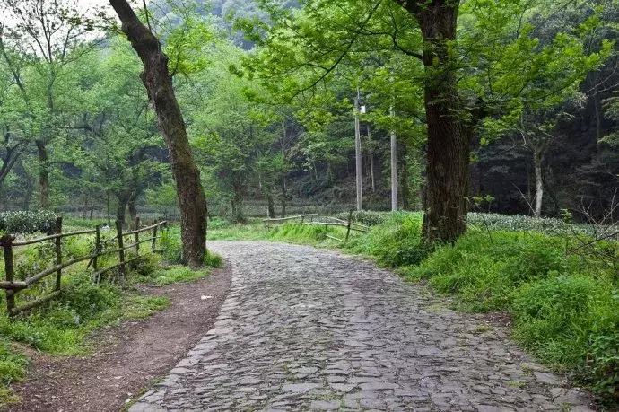 防止车胎被扎的小妙招,避免车胎爆胎的正确方法