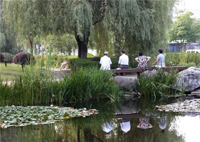 南京这些免费公园，让你任性玩个遍