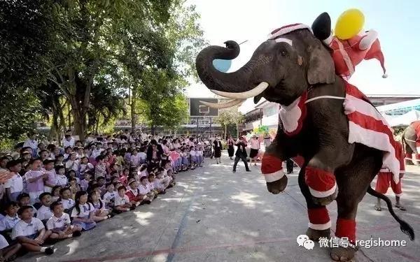 泰国是什么样的农村呢,泰国是个怎样的国家