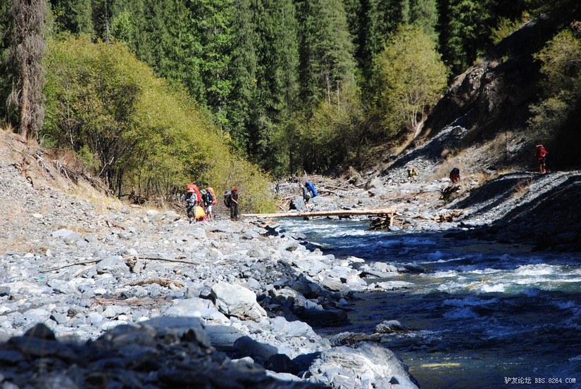 狼c调简谱教唱,狼c