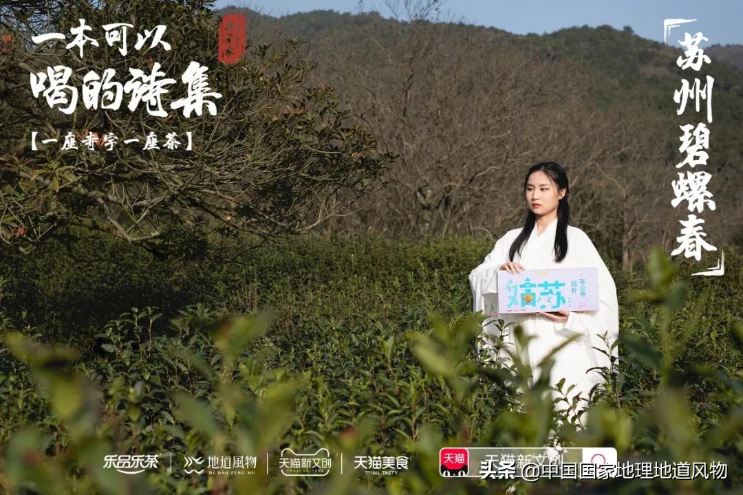 中国茶叶分布图,中国茶区详细分布图