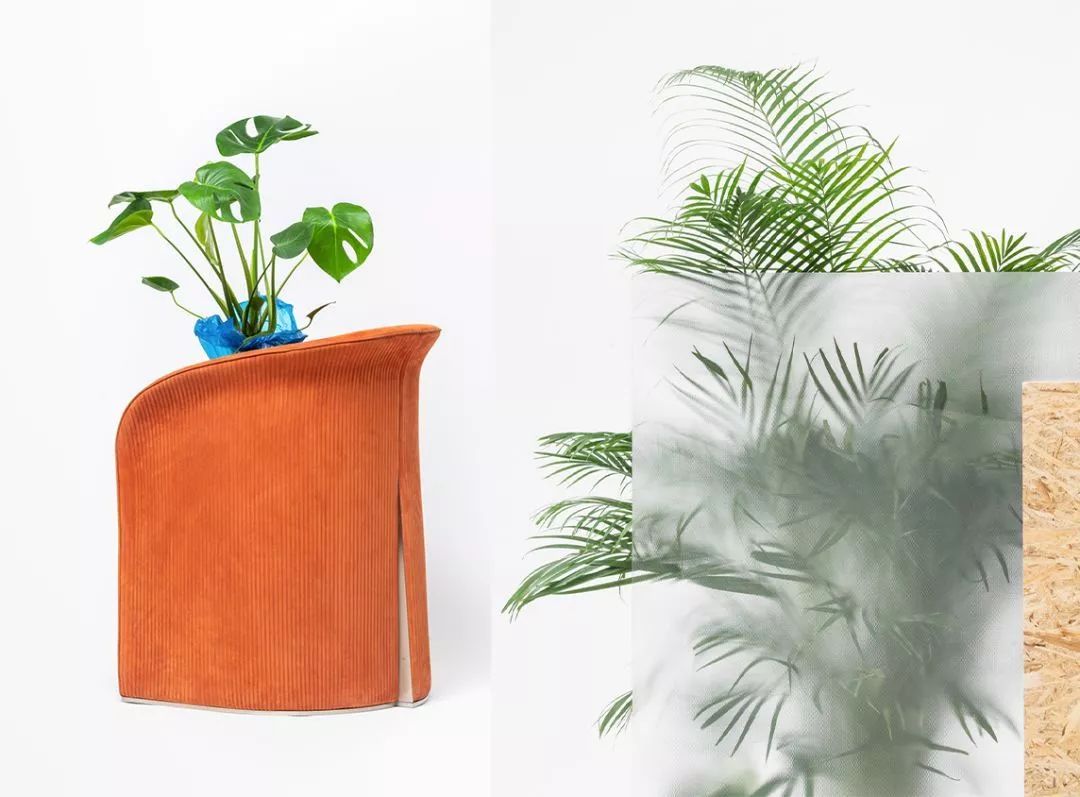 visionnaire2022米兰,visionnaire古巴