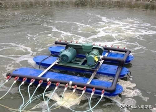 鱼苗气泡病,鱼苗气泡