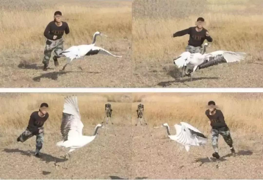 被囚34年取精，被迫亲手杀死爱子，最后只能挣扎着死去……