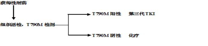 服用易瑞沙一般是肺癌到什么程度,肺癌易瑞沙耐药后还能活多久