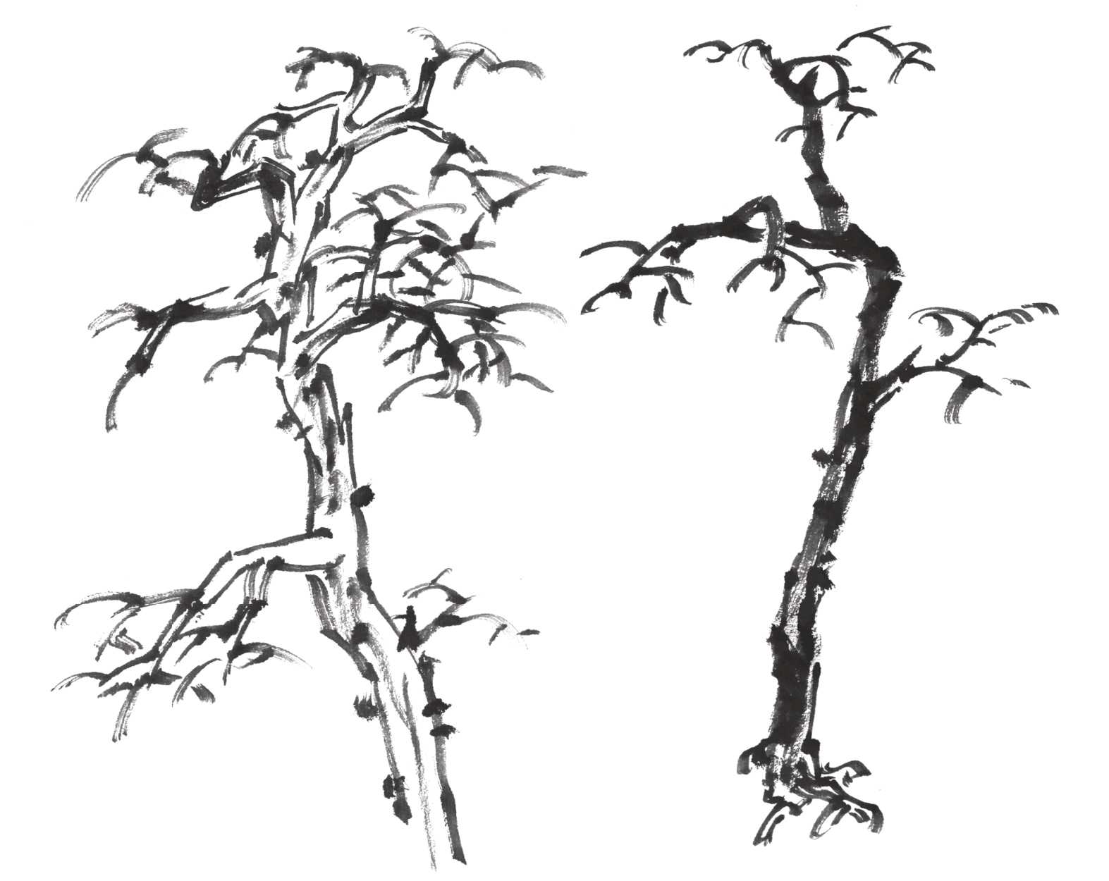 树画简单初学者教程,树画不好看了怎么改