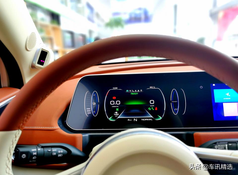 这有一只“好猫”登陆厦门，欢迎来“撸”