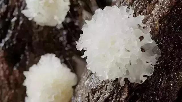 央视新闻报道通江县,今日通江新闻联播