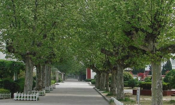 南师附中宿迁分校教学质量,宿迁最好的中学是哪个