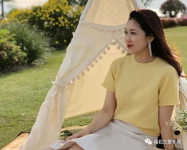 好看的中长款短袖高级感,女士高端大气上档次的羊绒短袖