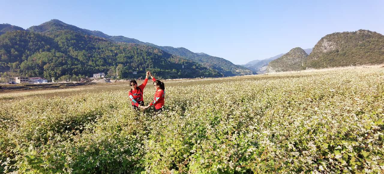 秋天的回忆完整版,秋天的回忆歌曲