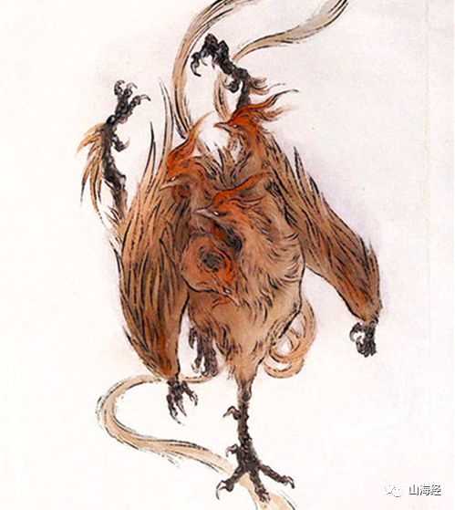 舌尖上的山海经全部视频,舌尖上的山海经洞庭鱼