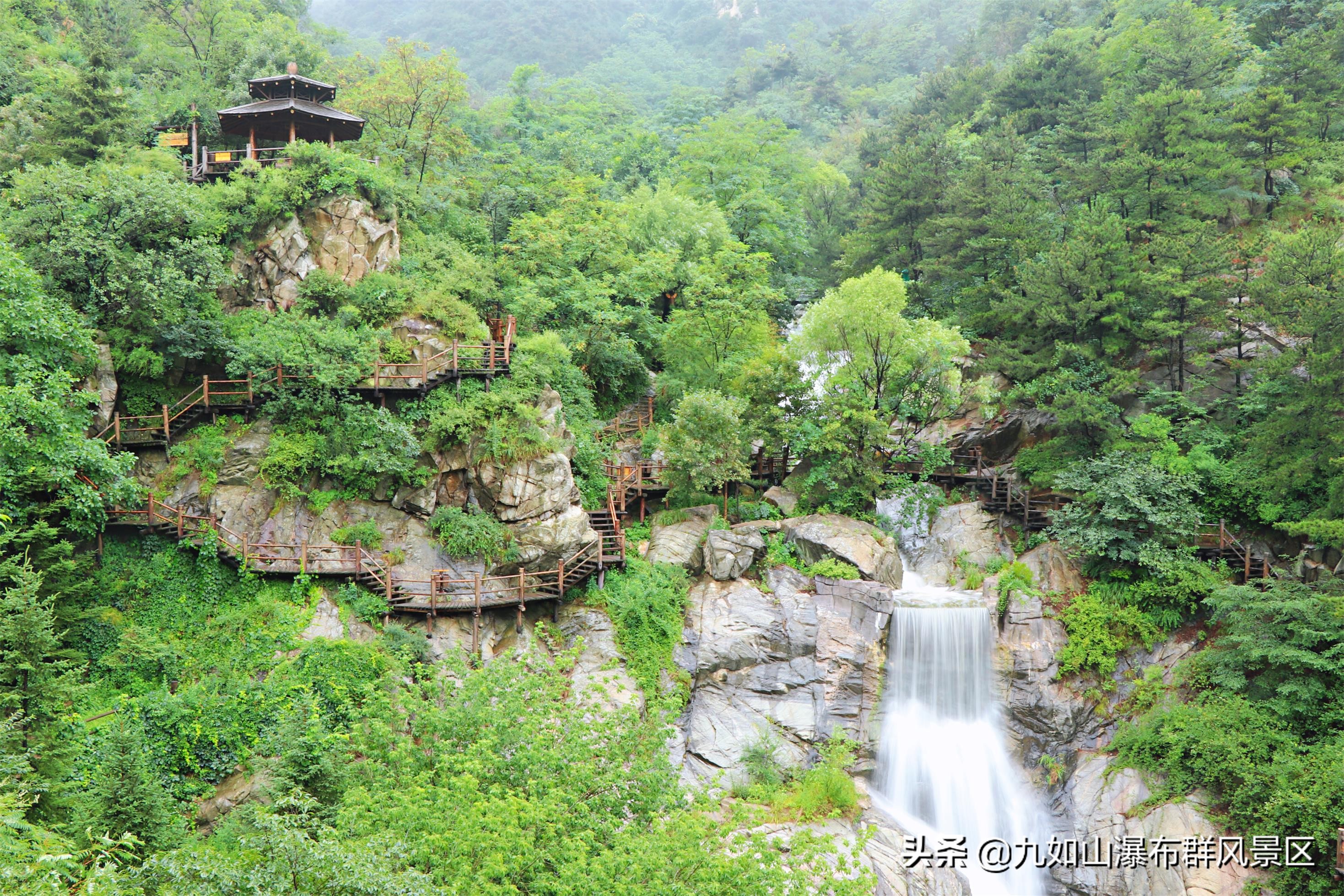 济南九如山65岁老人免票吗,济南九如山门票终身免票还有效吗